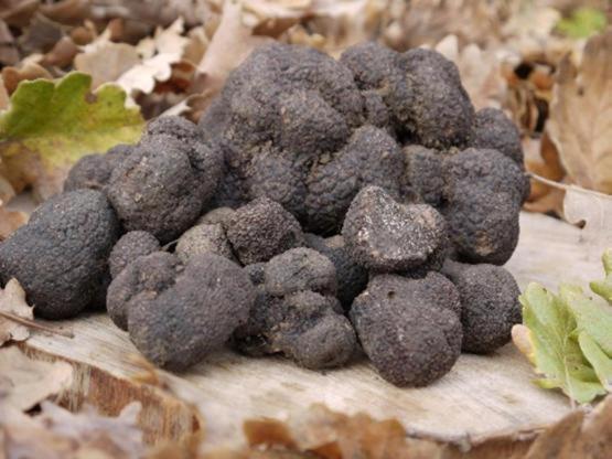 מלון Réauville La Ferme Les Eybrachas מראה חיצוני תמונה
