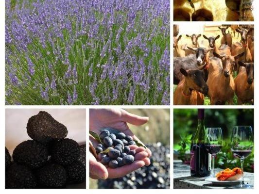 מלון Réauville La Ferme Les Eybrachas מראה חיצוני תמונה
