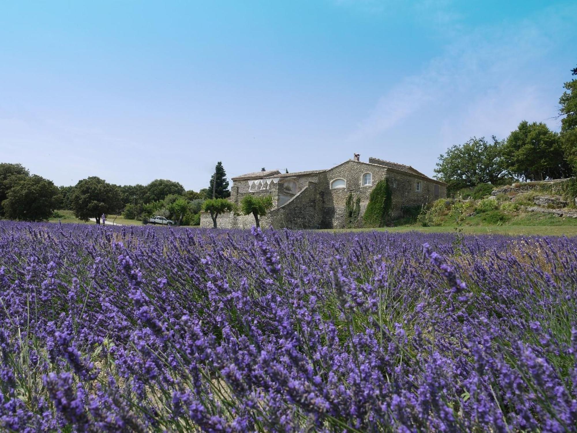 מלון Réauville La Ferme Les Eybrachas מראה חיצוני תמונה