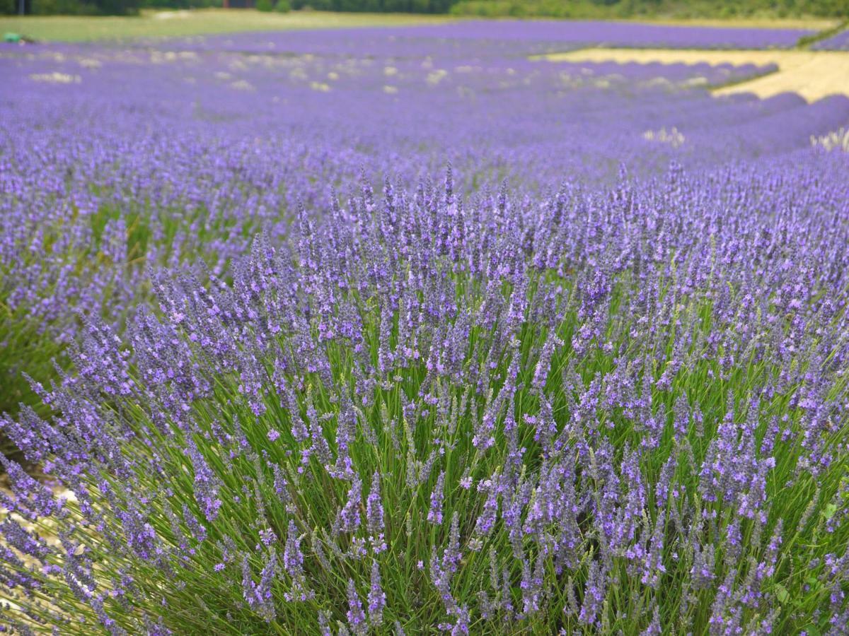 מלון Réauville La Ferme Les Eybrachas מראה חיצוני תמונה