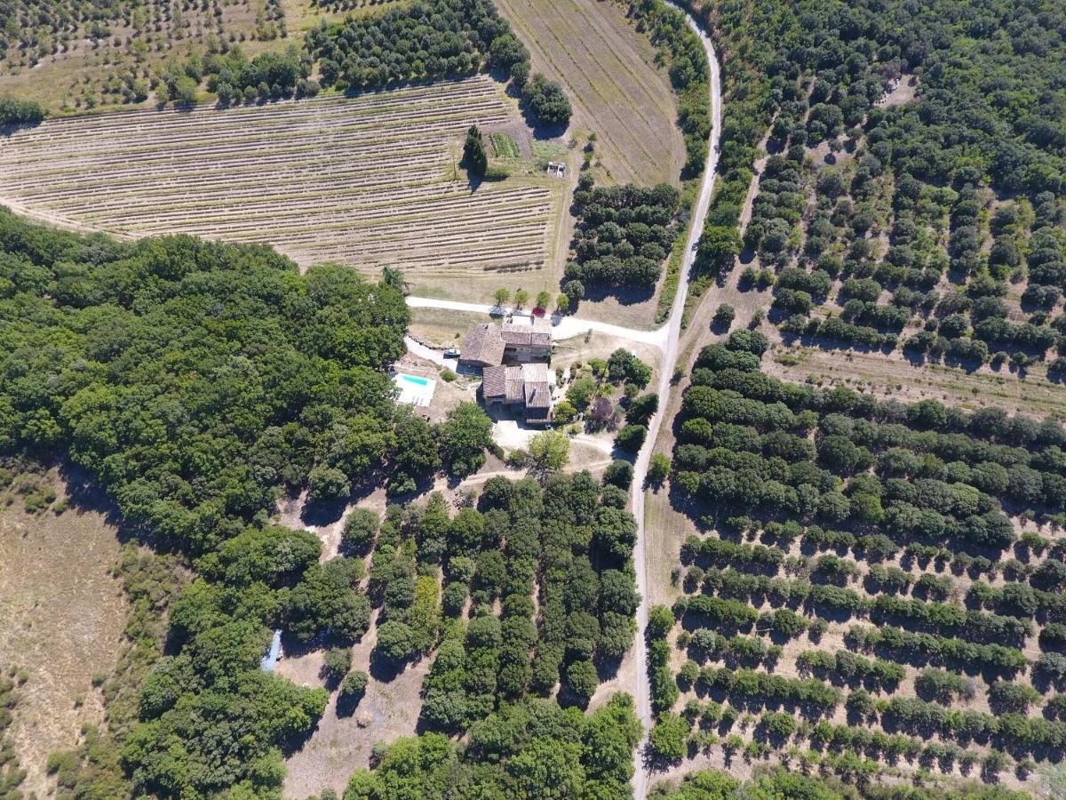 מלון Réauville La Ferme Les Eybrachas מראה חיצוני תמונה